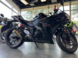 2018 YAMAHA YZF R3