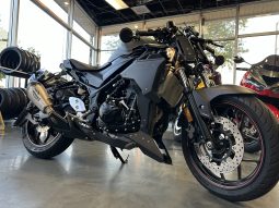 2017 Yamaha YZF R3