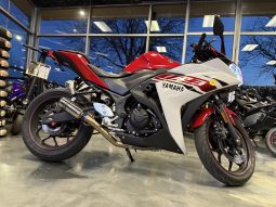 2015 Yamaha YZF R3