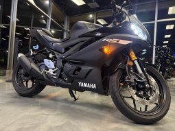 2019 Yamaha YZF R3