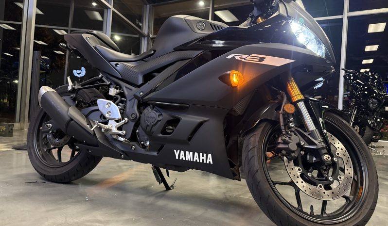 2019 Yamaha YZF R3