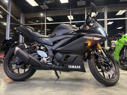 2019 Yamaha YZF R3
