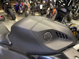 2019 Yamaha YZF R3