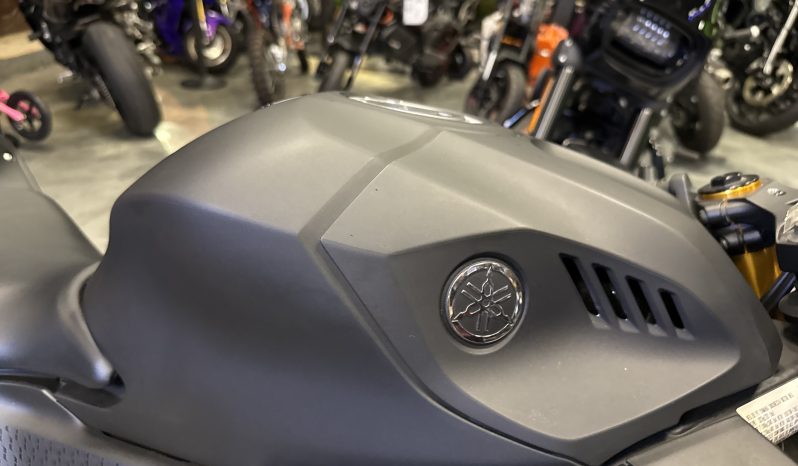 2019 Yamaha YZF R3
