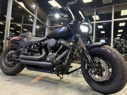 2018 HARLEY DAVIDSON FATBOB 107