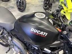 2019 DUCATI 821 MONSTER