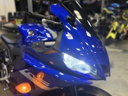2020 YAMAH YZF R3