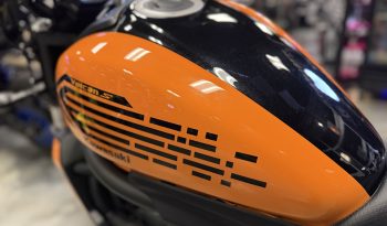 IMG_3710 2