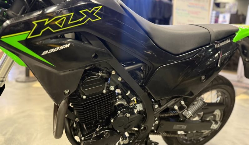 2023 Kawasaki KLX 230 SM