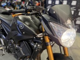 2008 Yamaha FZ8