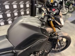 2008 Yamaha FZ8