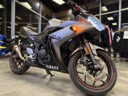 2016 Yamaha YZF R3