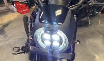 IMG_9865 3