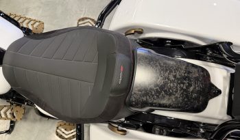 IMG_1447