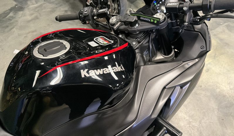 2023 Kawasaki Ninja ZX6R