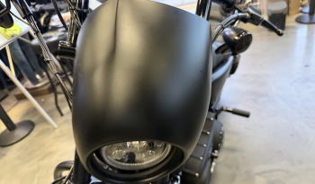 IMG_0981