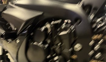 IMG_1455 2