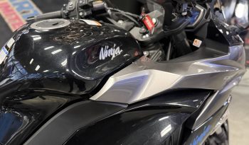 IMG_2555